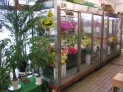 「元文生花店」　（福井県大野市）の花屋店舗写真1